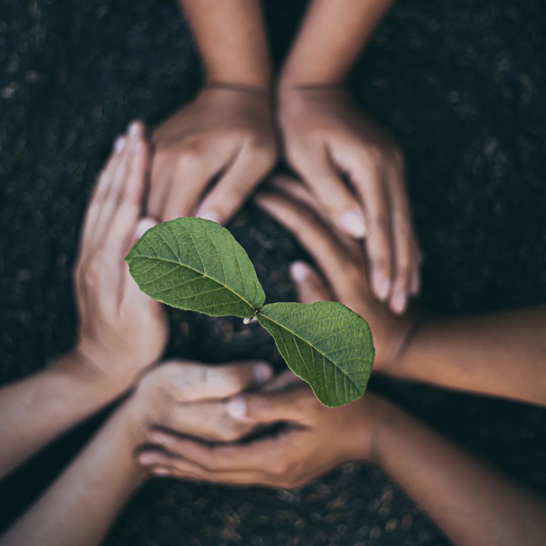 Donation β Help Us Grow! π±